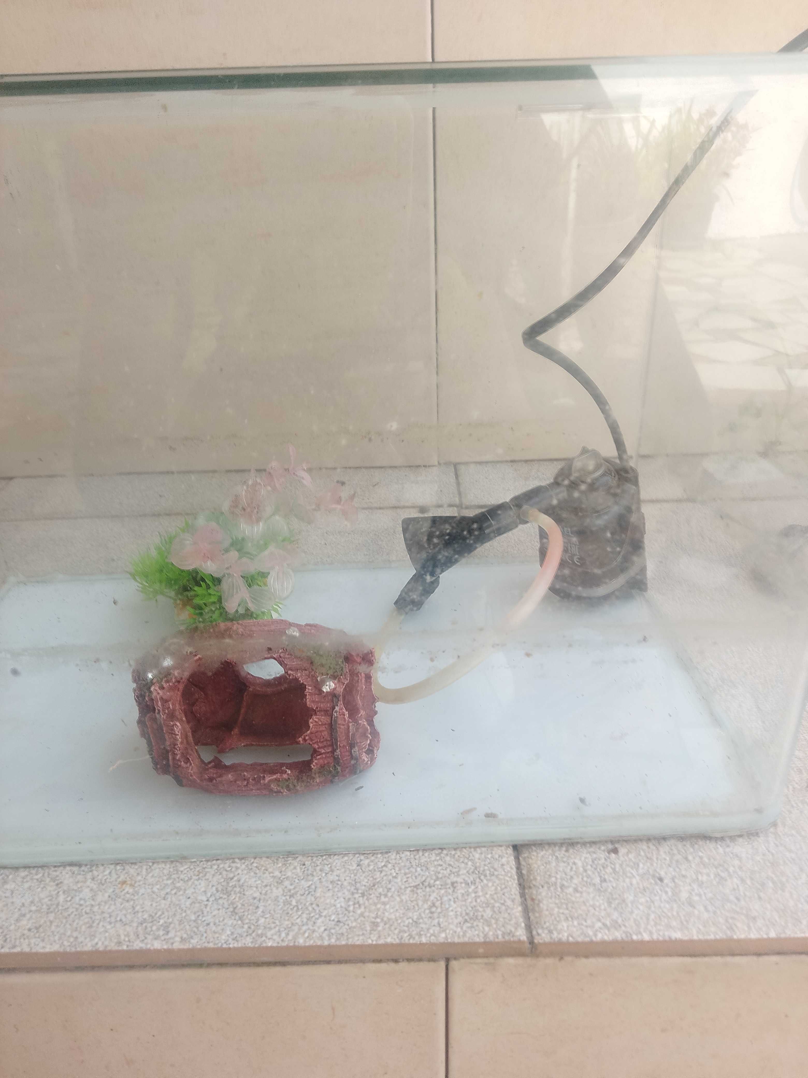 Aquário com açessorios