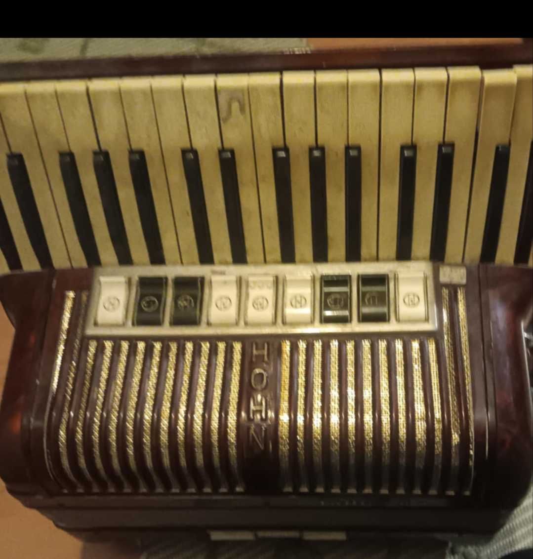 Acordeon Tango 2