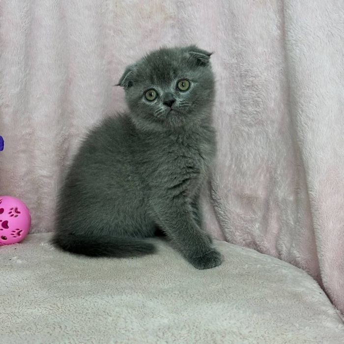 Мальчики и девочки