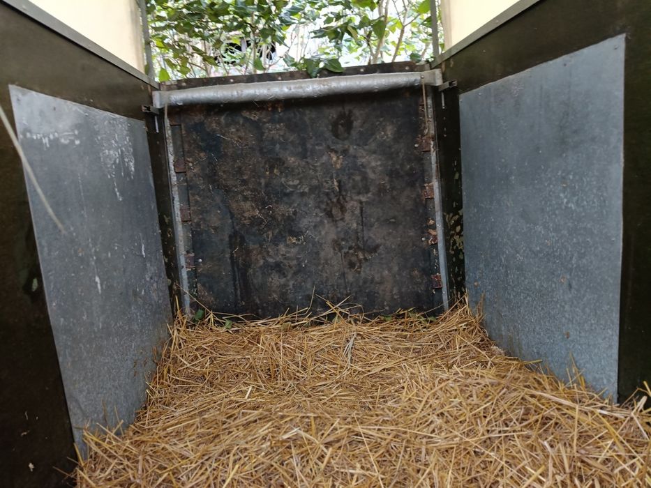 Przyczepa koniowóz, do przewozu koni, kat.B, DMC 1300 kg
