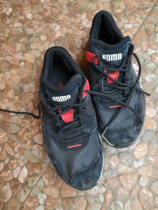 Buty puma ferrari