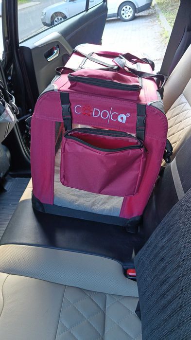 Transporter samochodowy dla psa