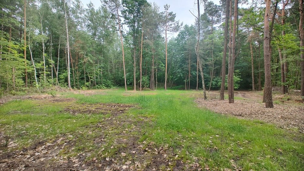 Przyjmę ziemię do wyrównania terenu, Mrozy