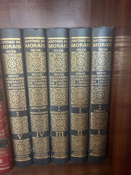 Novo dicionario compacto lingua portuguesa