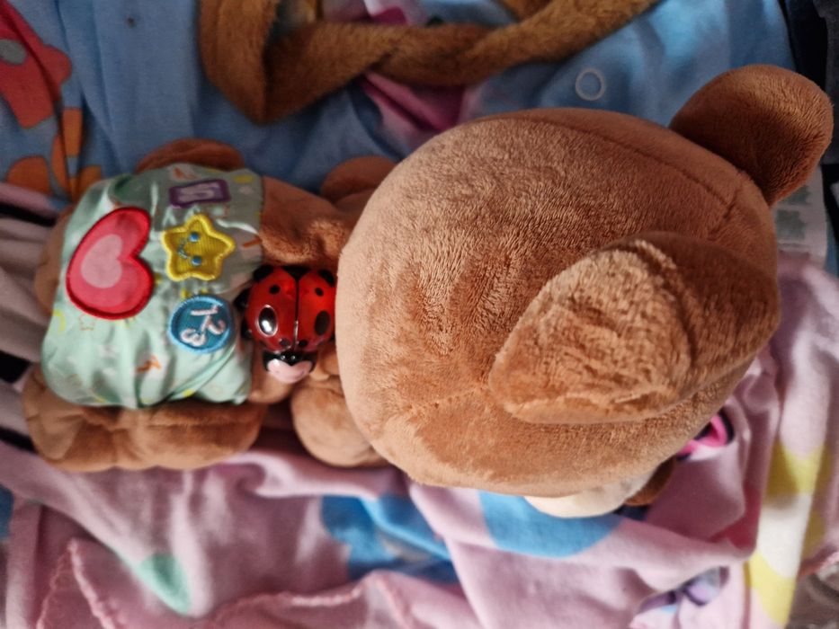 Raczkujący Miś Tuptuś