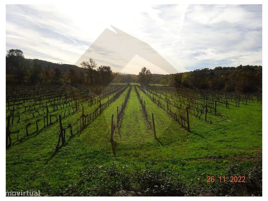 Quinta Agricola - Mêda