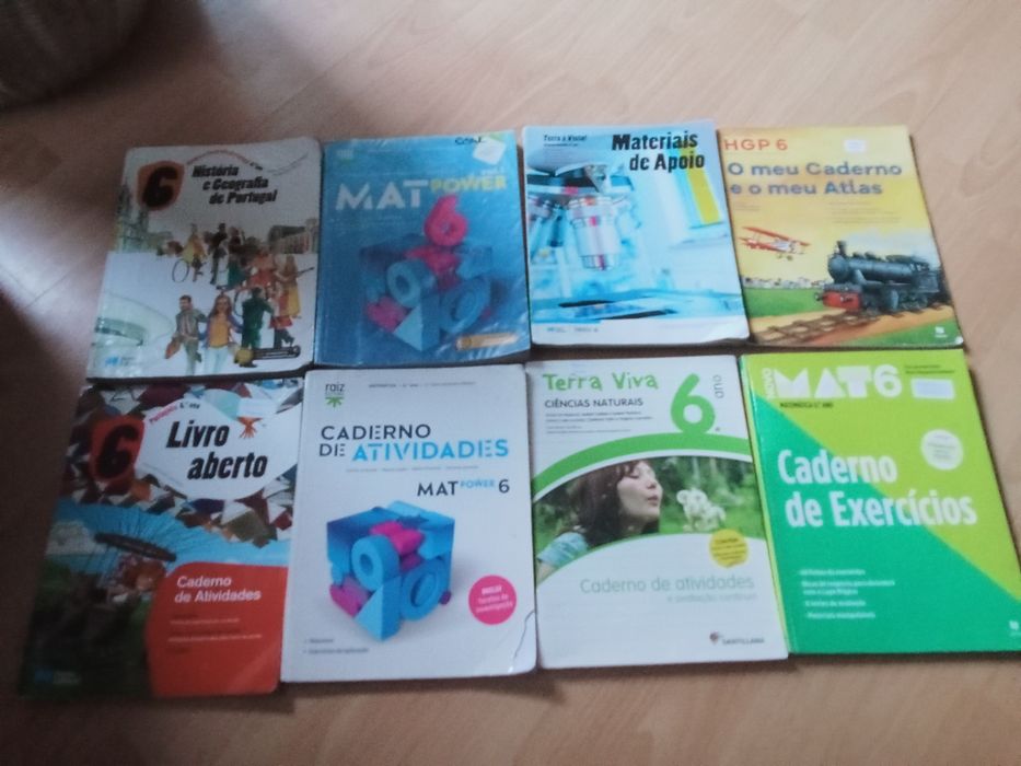 Livro de actividades