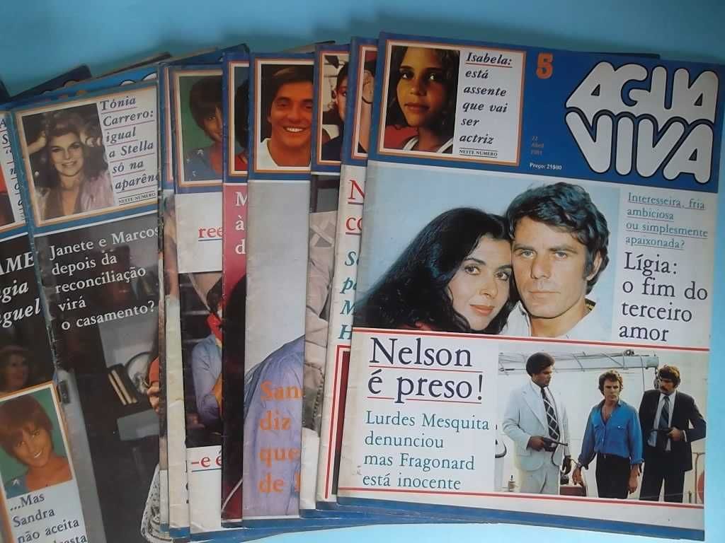 "AGUA VIVA" - 28 Folhetins Telenovela (1981)