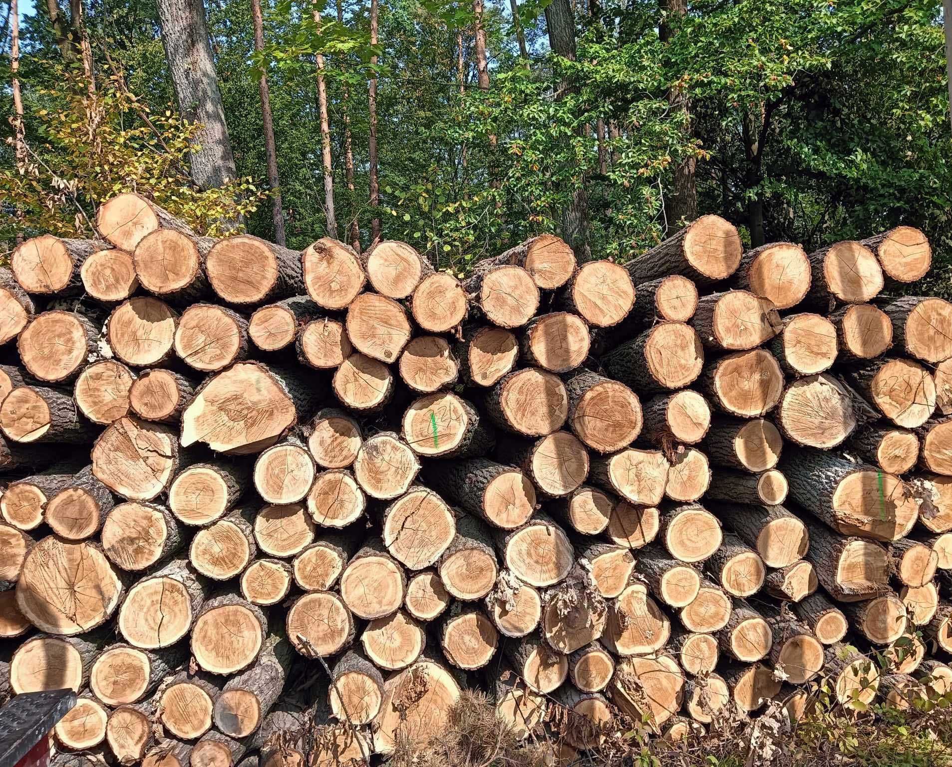 Drewno opałowe 6 metrów – sosna, olcha, brzoza, dąb  Garwolin