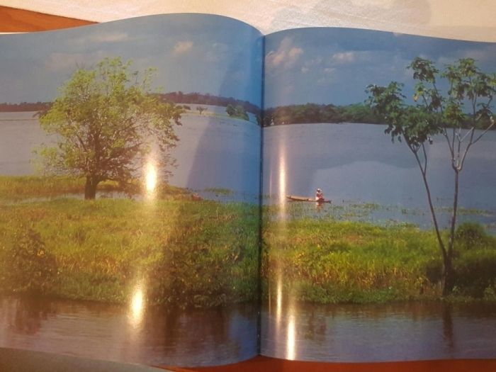 Livro "Português com açucar" de Vítor Costa