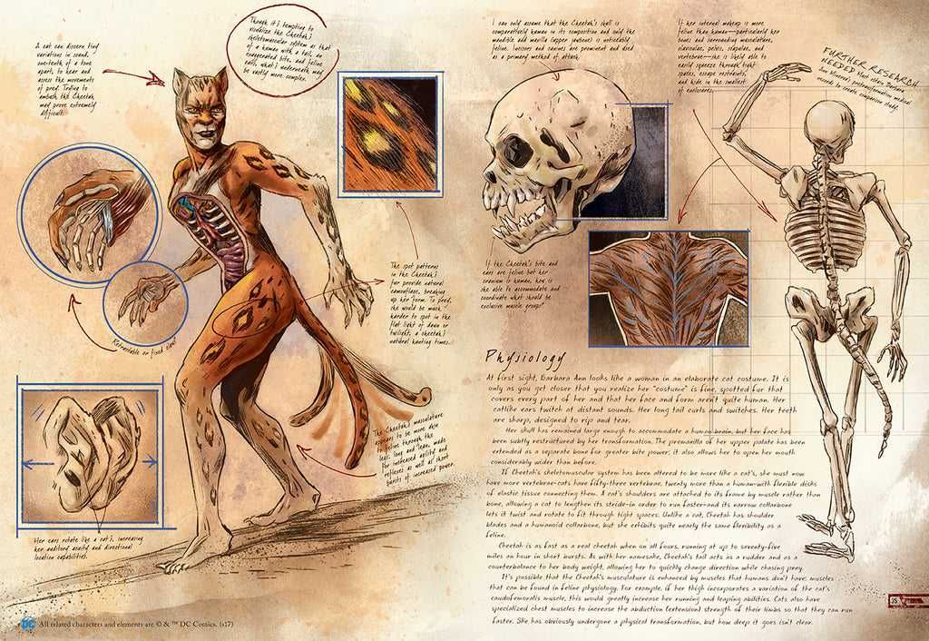 DC: Anatomy of a Metahuman
