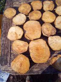 Rodelas bolachas base de madeira