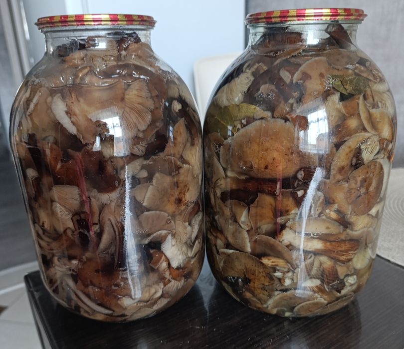 Мариновані гриби опеньки