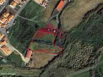 Terreno agrícola com 3.920m2