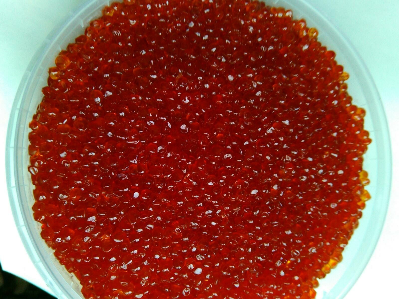 НАСТОЯЩАЯ КРАСНАЯ ИКРА: кета,чавыча, горбуша,нерка,кижуч,форель; голец