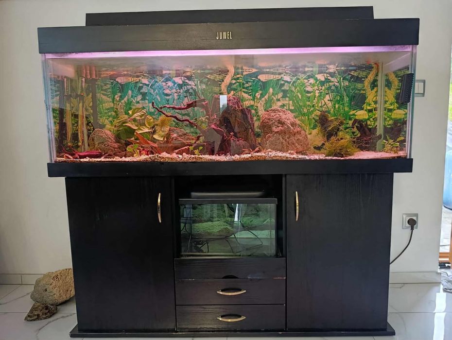 Akwarium Juwel zestaw