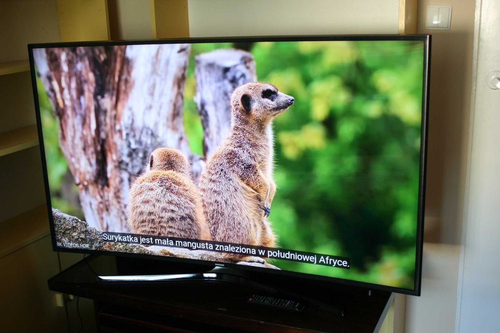 Telewizor Samsung 55 cali 4K Ultra HD Smart TV WiFI HDR np na działkę