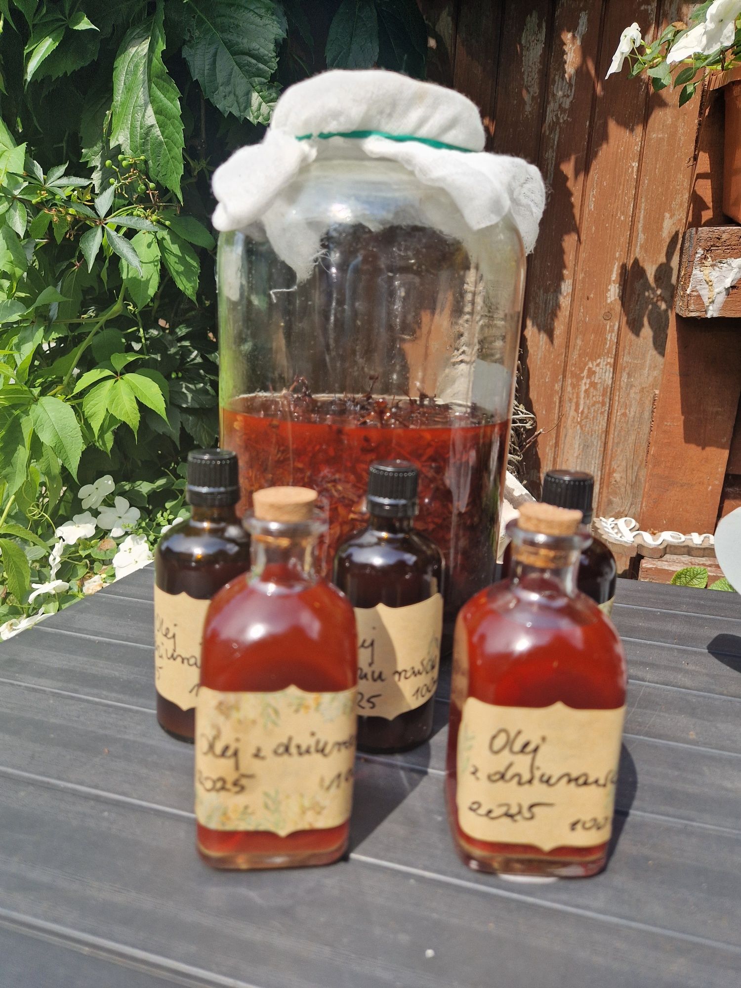 Olej z dziurawca 100ml