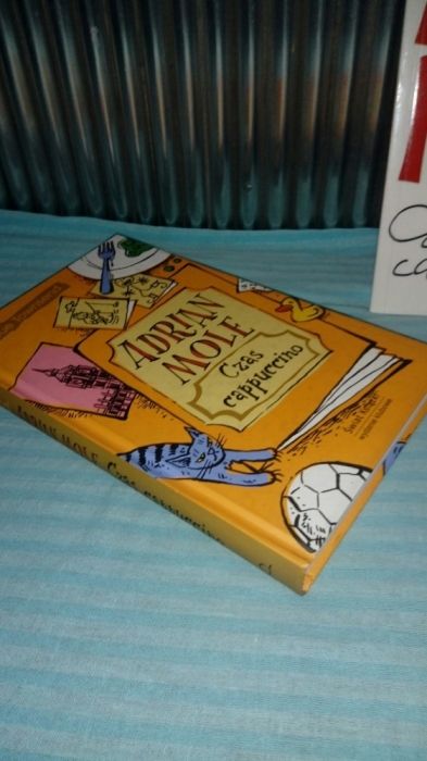 Adrian Mole.Czas cappuccino. Sue Towsend
