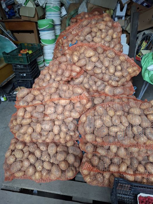 Ziemniaki żółte 15kg
