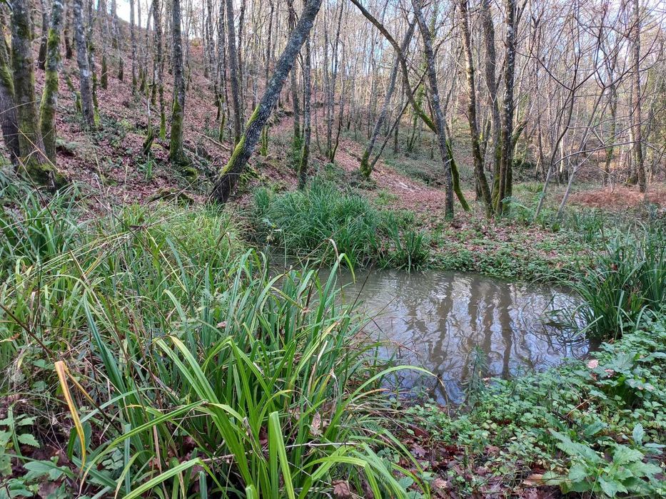 Terreno à venda, Santa Comba Dão, Ecopista do Dão 1