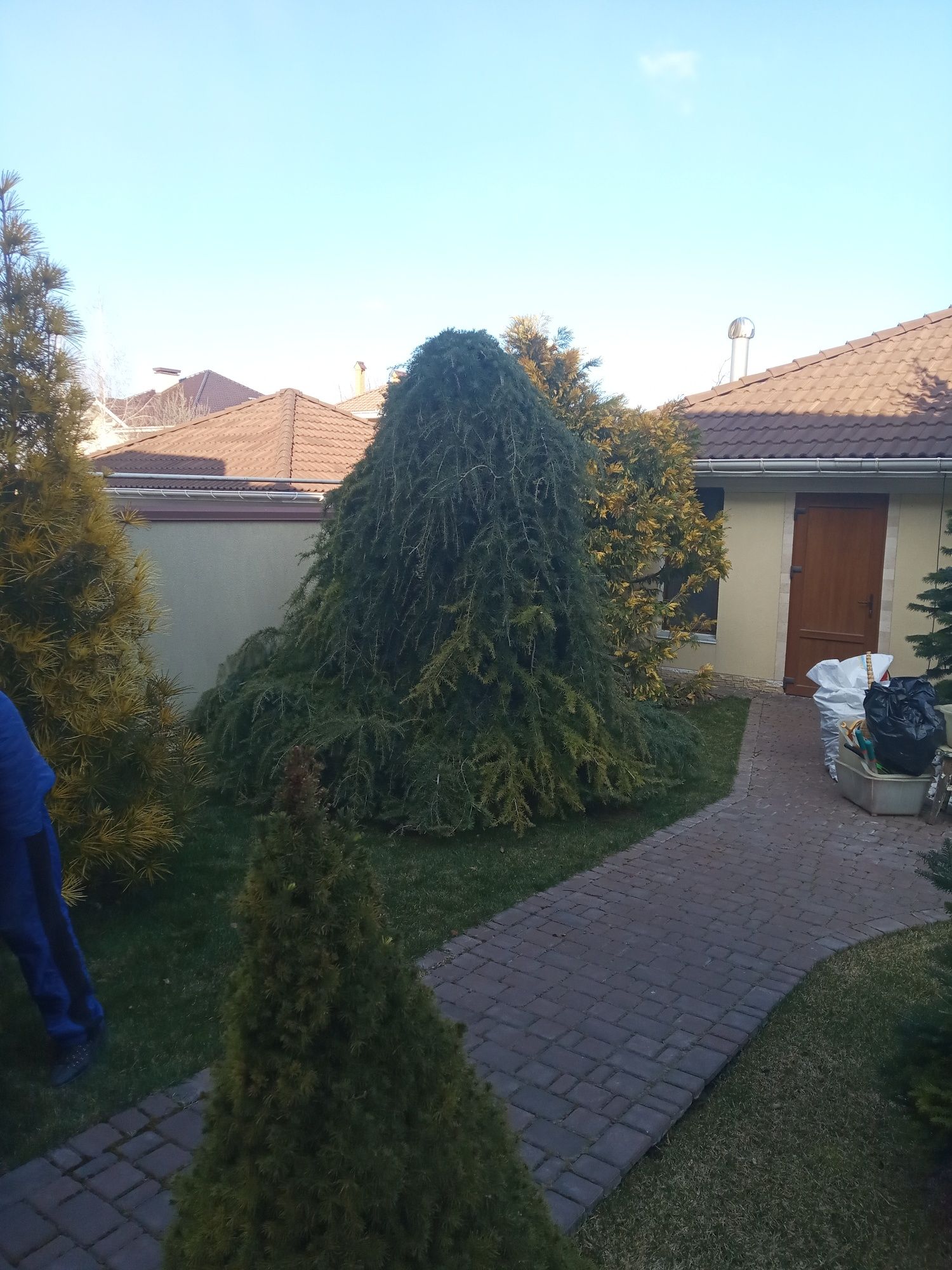 Услуги садовника, подрезка кустов и деревьев и т.д.