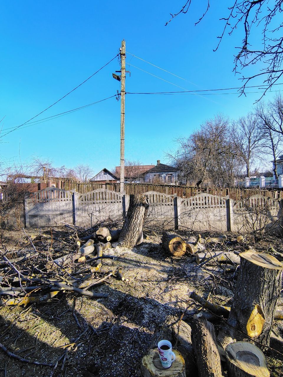 Професійне видалення, спил дерев, часткове обрізання гілок, кронування