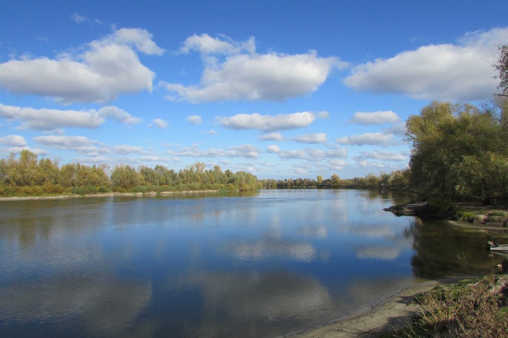 ПУХІВКА. Земельна ділянка 19 соток під забудову.