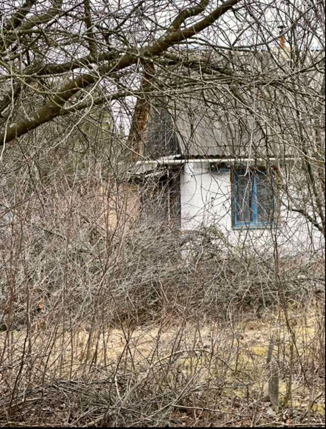 Дача с. Ясногородка, Київське море!