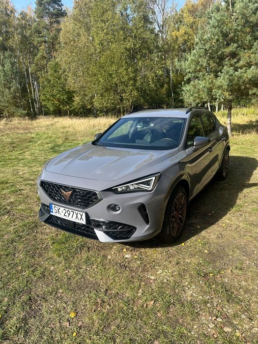 Cupra Formentor Cupra Formentor 2.0 TSI 4Drive DSG