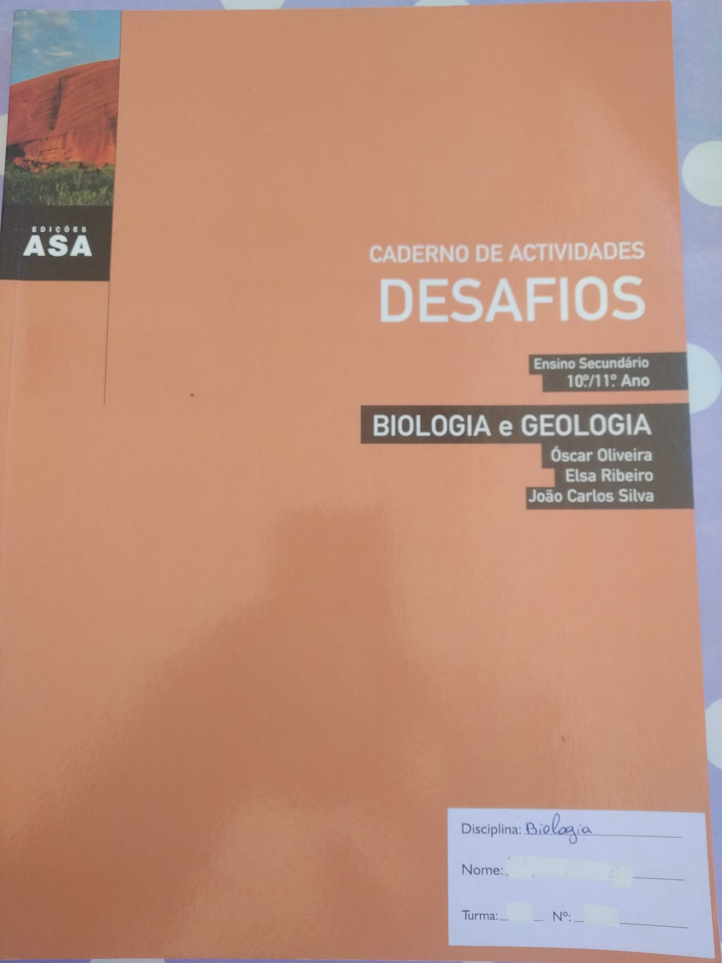 Cadernos de atividades 10º ano, em excelente estado