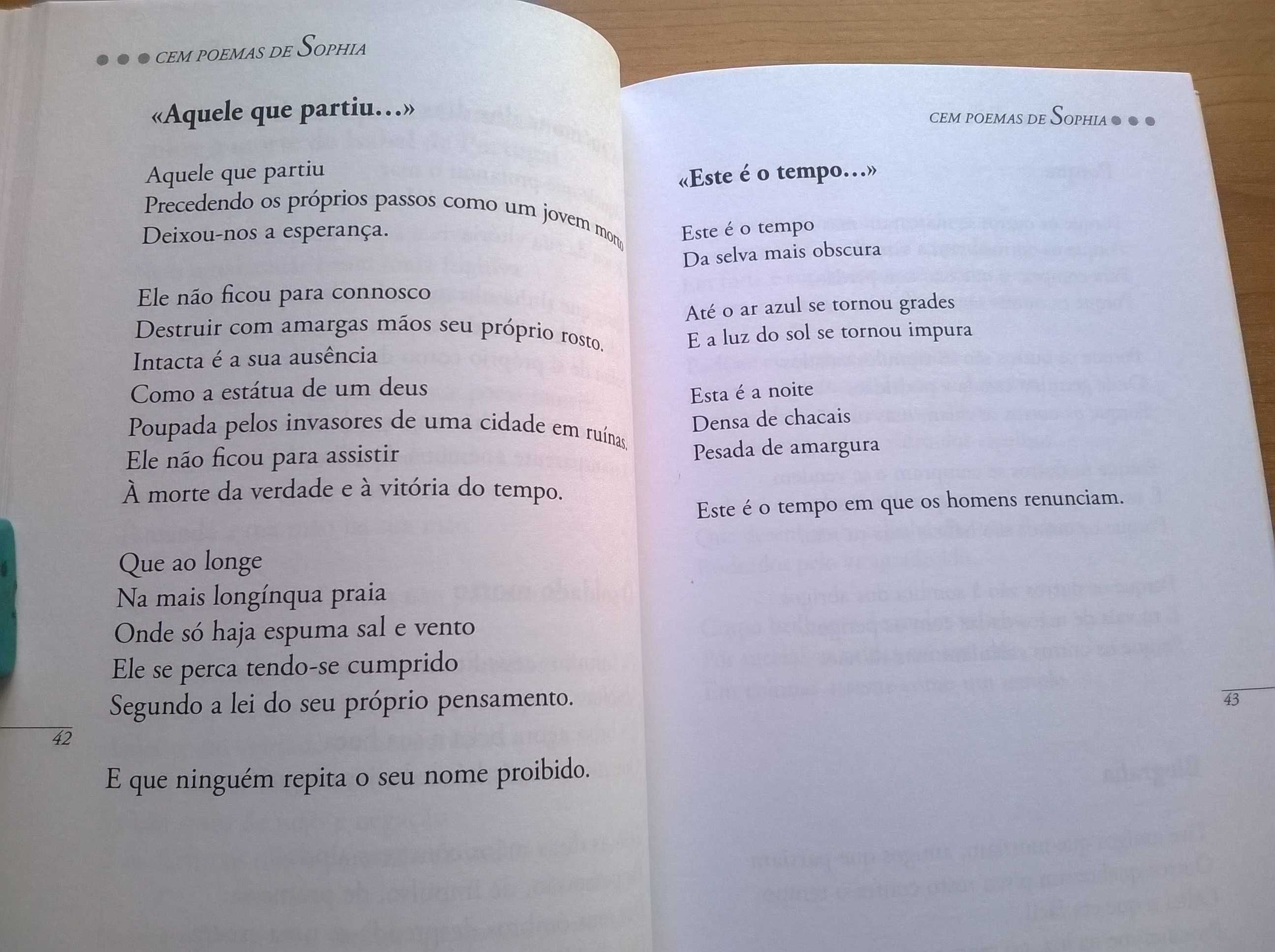 Cem Poemas de Sophia - Sophia de Mello Breyner Andresen