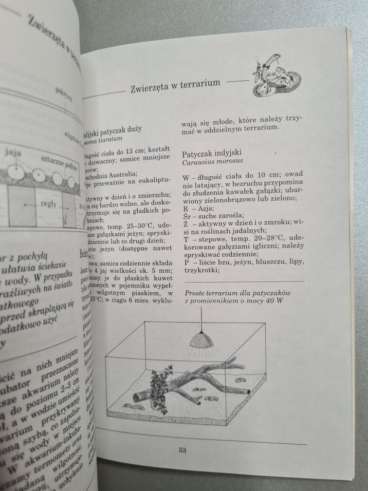 Moje pierwsze terrarium - Manfred Rogner