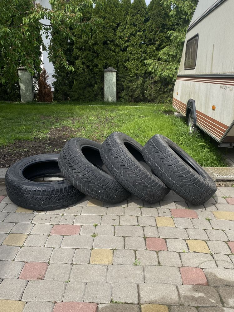 Шини автомобільні Maxxis Presa Snow 195/65 R15