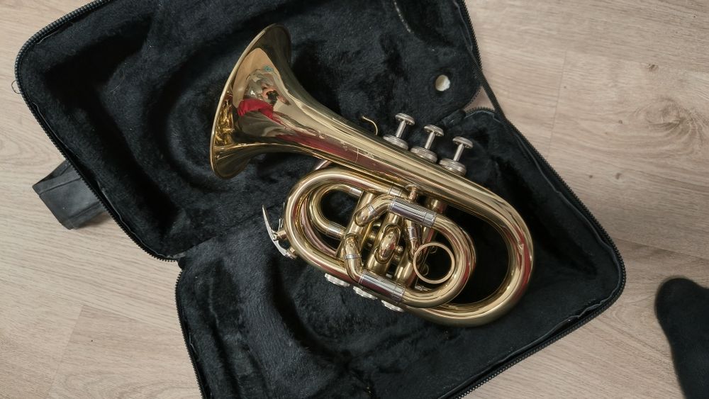 Trąbka Roy Benson PT 302