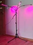 Lampa do uprawy roślin
