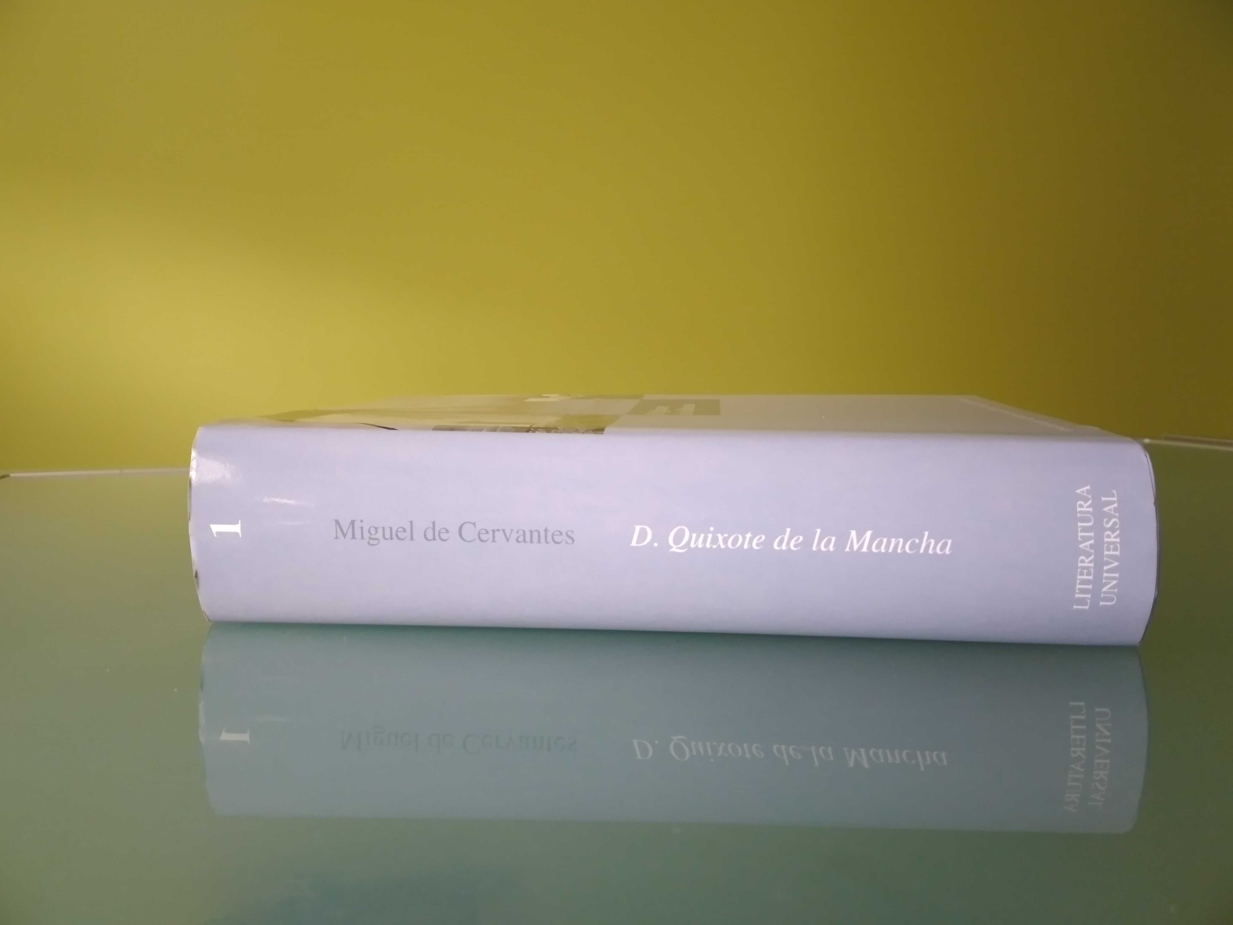 D. Quixote de la Mancha