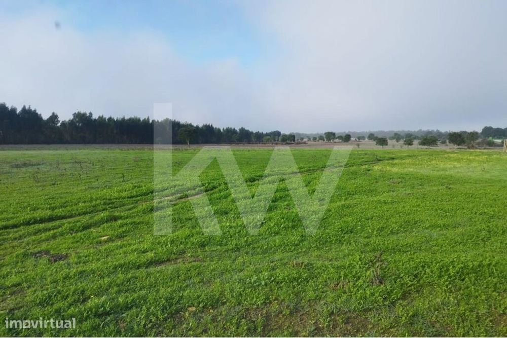 Terreno de 13 hectares em Foros da Charneca, com possibilidade de urba