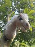 Hobby horse mały skokowy