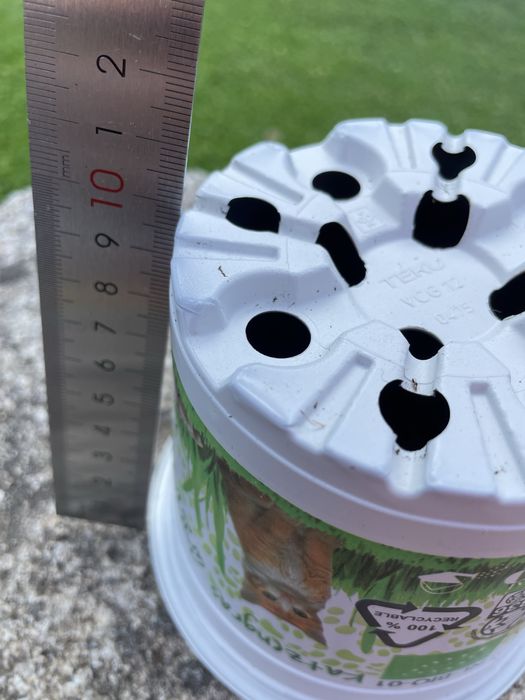 Conjunto de 50 vasos de plástico 12 cm. Gato