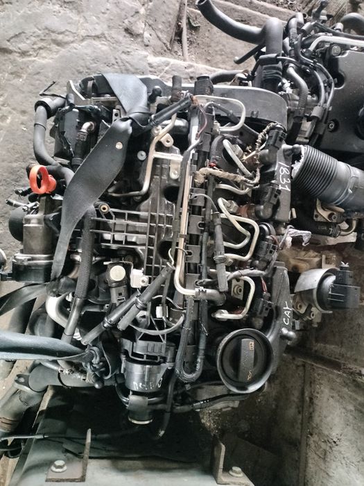 Мотор двигун  1.6 TDI (CAY) 77kw Volkswagen Golf 6, Passat B6-B7 Cadyy