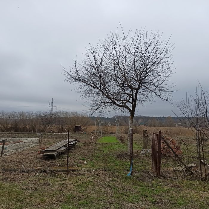 Дача, ділянка 18 соток+сад Олдиш