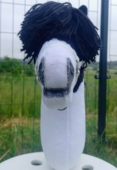 Hobby horse hck a4