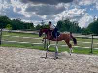 Klacz hodowla/sport/rekreacja