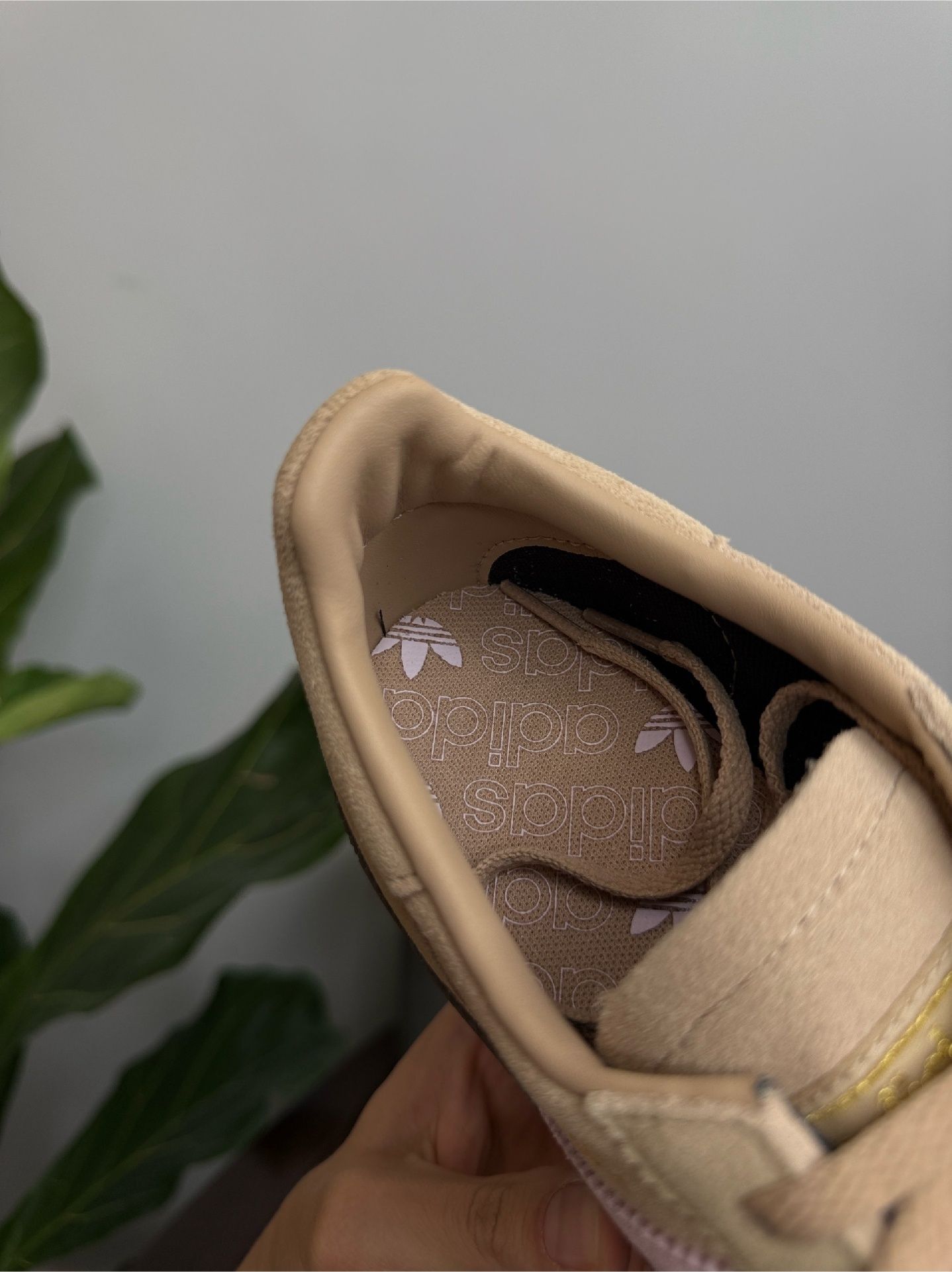 Жіночі кросівки Adidas SPEZIAL,  найзручніша пара, трендовий колір