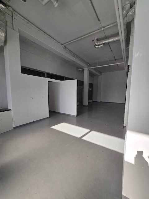 Lokal do wynajęcia - Śródmieście - 230,31m2