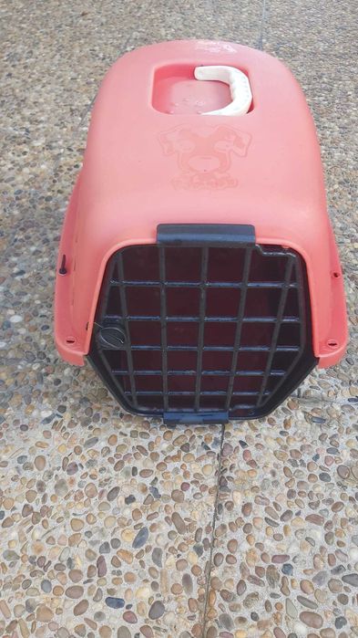 Transportadoras animais domésticos
