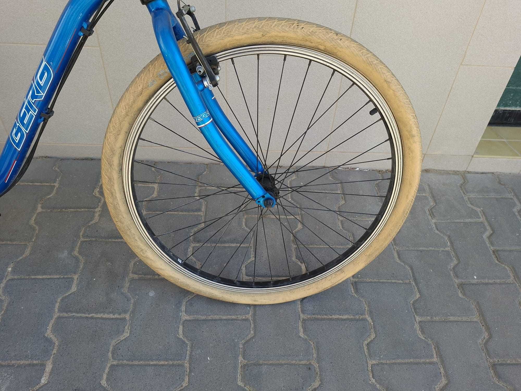 Bicicleta Berg P20