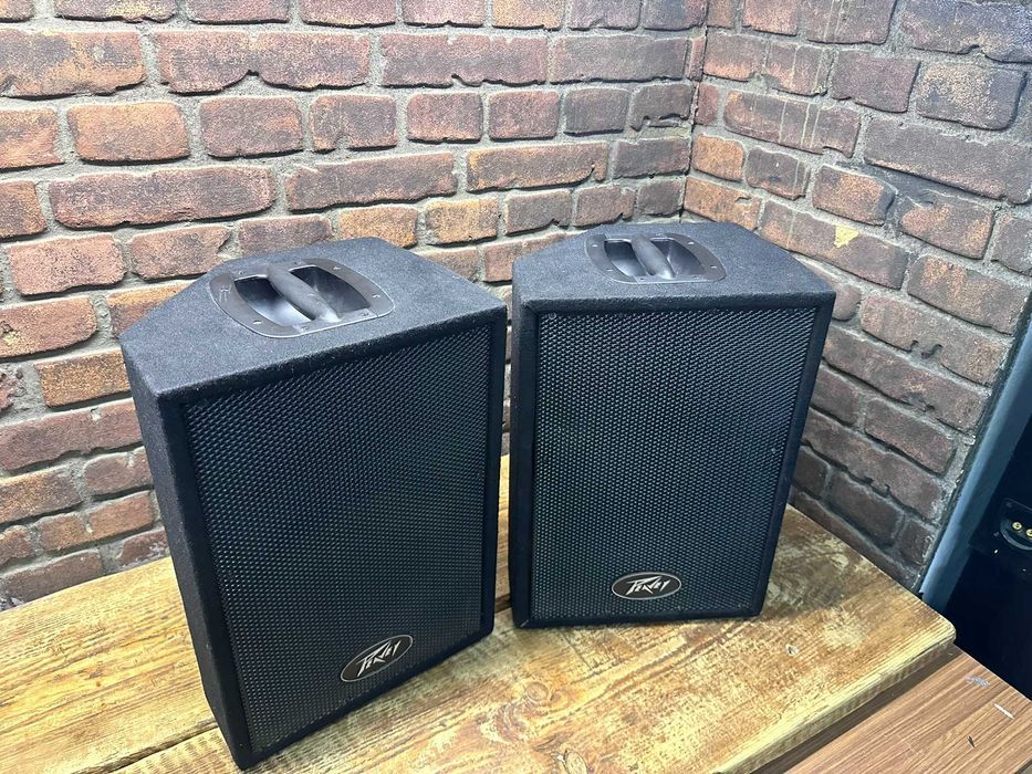Kolumny Estradowe Peavey PVi10