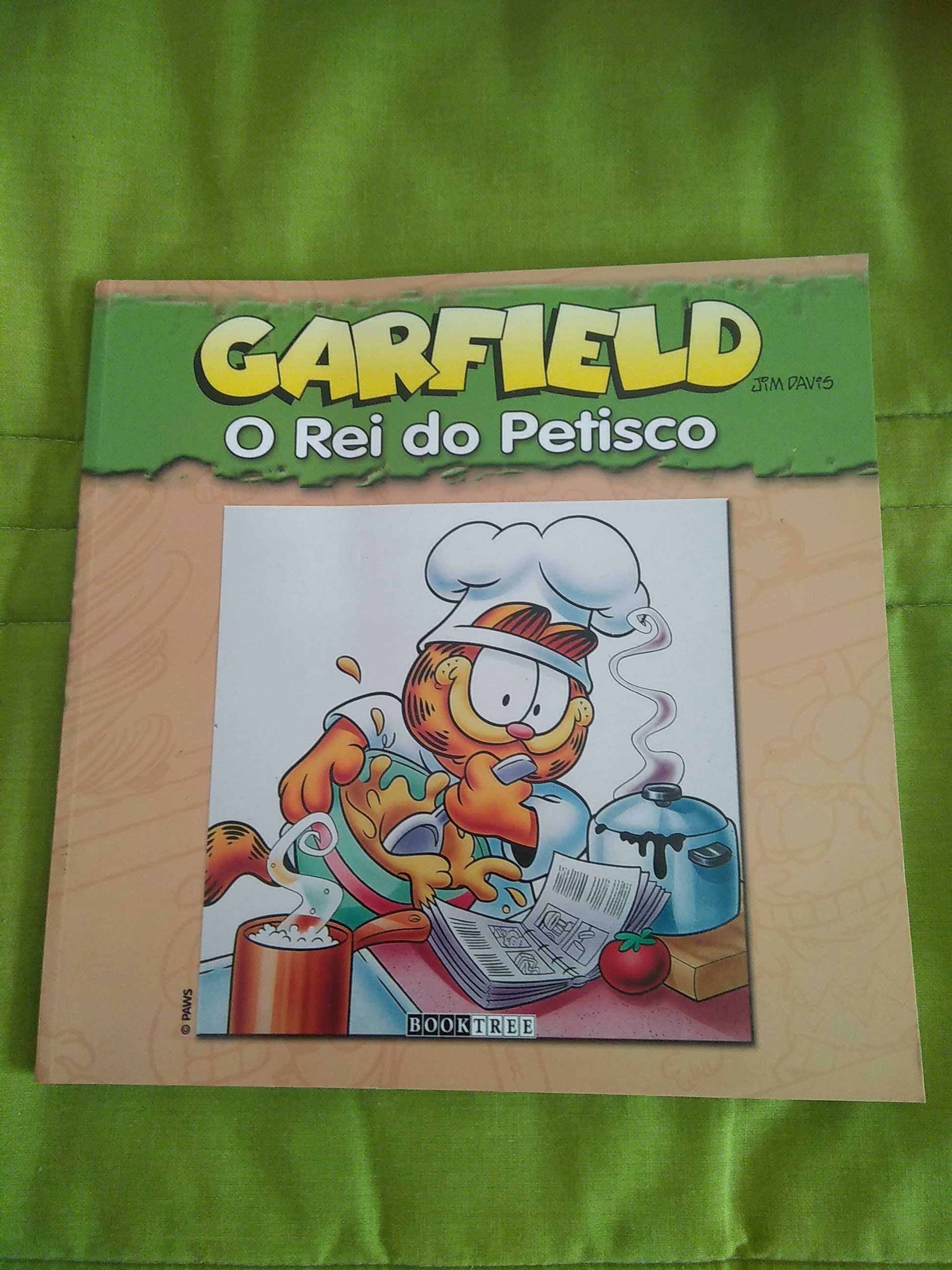 Garfield o rei do petisco